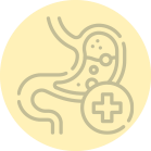 Gut Health Icon